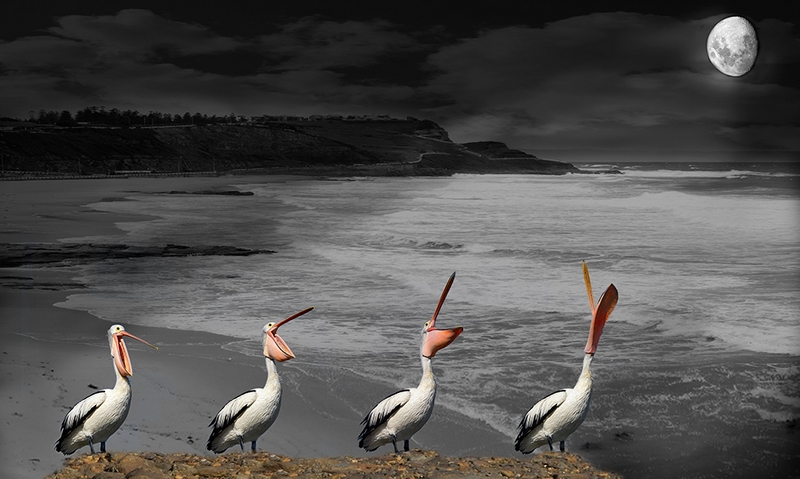125 - SERENADING THE MOON - KILLEN ROY - australia.jpg